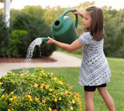 The Science Behind the Pocpyp Magical Watering Can's Success